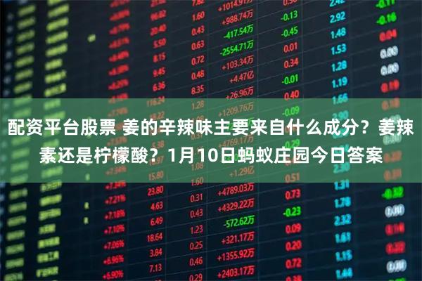 配资平台股票 姜的辛辣味主要来自什么成分？姜辣素还是柠檬酸？1月10日蚂蚁庄园今日答案